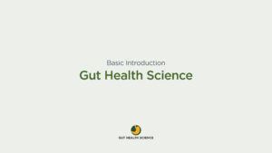 Basic Introduction to Gut Health Science