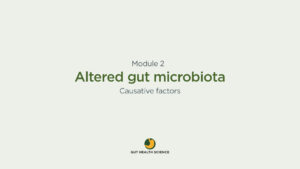 Module 2 – Altered gut microbiota